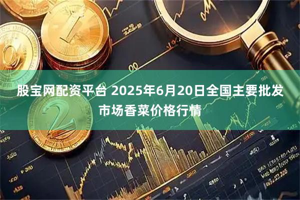 股宝网配资平台 2025年6月20日全国主要批发市场香菜价格行情