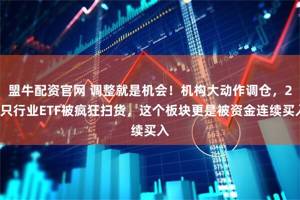 盟牛配资官网 调整就是机会！机构大动作调仓，23只行业ETF被疯狂扫货，这个板块更是被资金连续买入