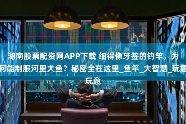 湖南股票配资网APP下载 细得像牙签的钓竿，为何能制服河里大鱼？秘密全在这里_鱼竿_大智慧_玩意