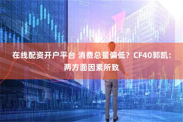 在线配资开户平台 消费总量偏低？CF40郭凯：两方面因素所致
