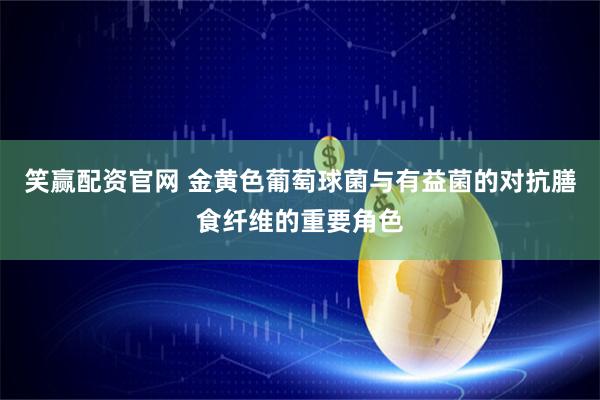 笑赢配资官网 金黄色葡萄球菌与有益菌的对抗膳食纤维的重要角色