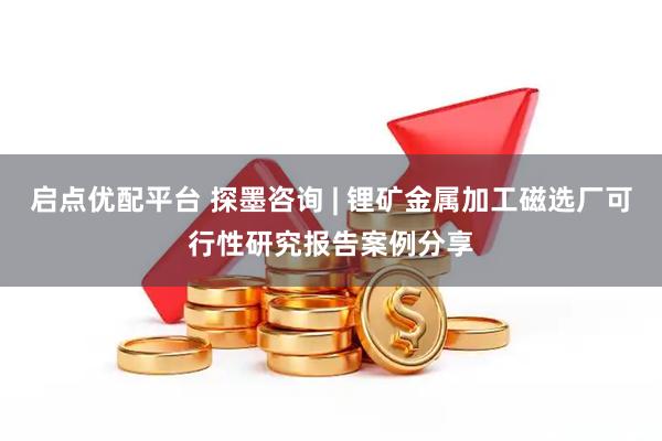 启点优配平台 探墨咨询 | 锂矿金属加工磁选厂可行性研究报告案例分享