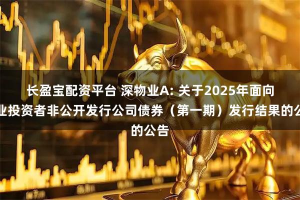 长盈宝配资平台 深物业A: 关于2025年面向专业投资者非公开发行公司债券（第一期）发行结果的公告