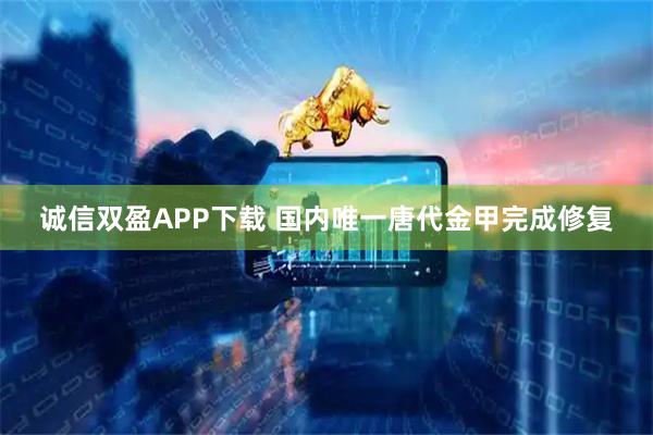 诚信双盈APP下载 国内唯一唐代金甲完成修复