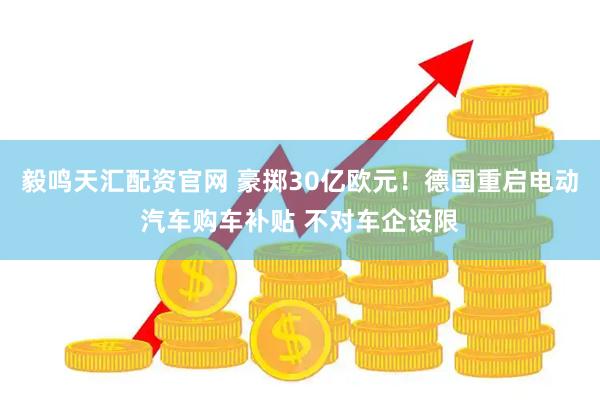 毅鸣天汇配资官网 豪掷30亿欧元！德国重启电动汽车购车补贴 不对车企设限