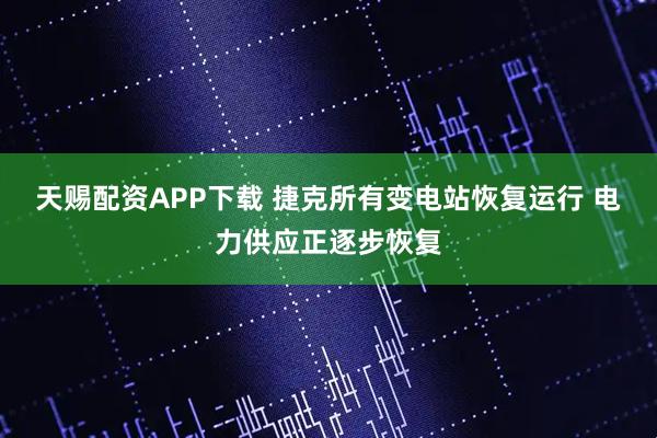天赐配资APP下载 捷克所有变电站恢复运行 电力供应正逐步恢复