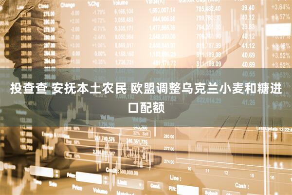 投查查 安抚本土农民 欧盟调整乌克兰小麦和糖进口配额