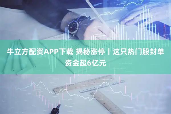 牛立方配资APP下载 揭秘涨停丨这只热门股封单资金超6亿元
