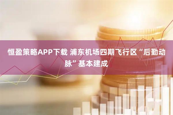 恒盈策略APP下载 浦东机场四期飞行区“后勤动脉”基本建成