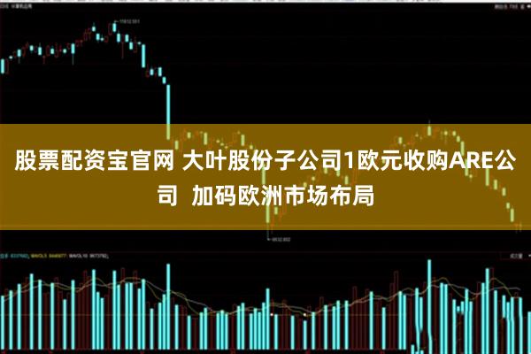 股票配资宝官网 大叶股份子公司1欧元收购ARE公司  加码欧洲市场布局